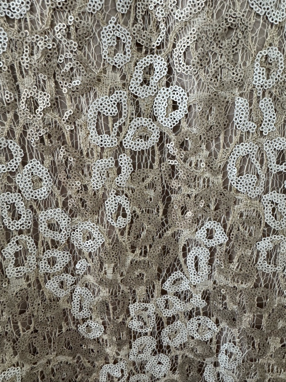 Tiffany Rose Maternity Evening Gown in Beaded Sparkly Taupe and Cream - Picture 3 of 6